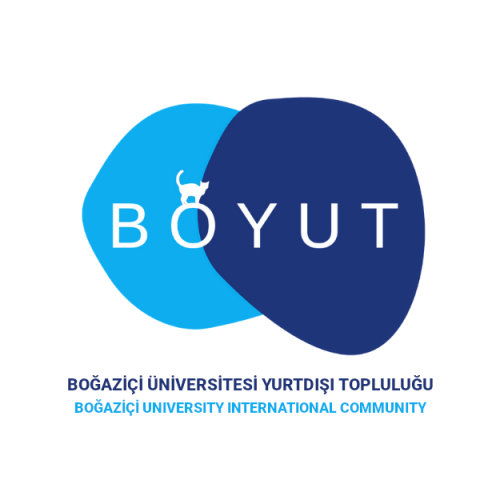 boyut-logo