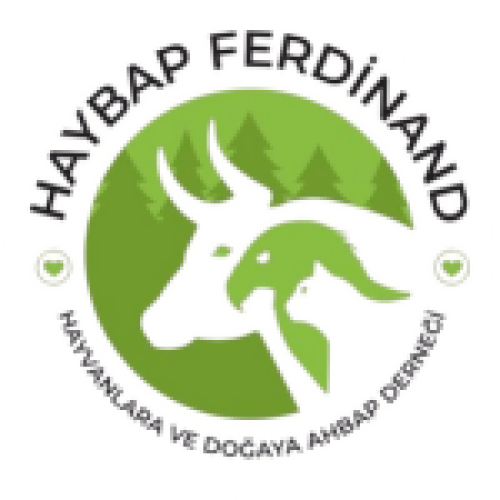 haybap-logo